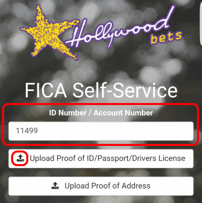 Enter your ID number or Account number into the field. Then click Upload Proof of ID.