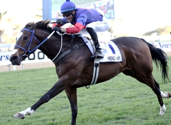French Navy - Vodacom Durban July 2016 contender - Horse