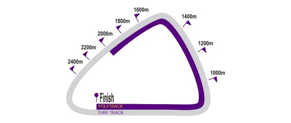 Greyille - Course Layout