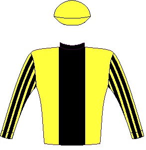 Solid Speed - Silks - Yellow, black stripe, striped sleeves, yellow cap