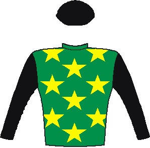 The Conglomerate (Aus) - Silks - Emerald green, yellow stars, black sleeves and cap - Vodacom Durban July 2016