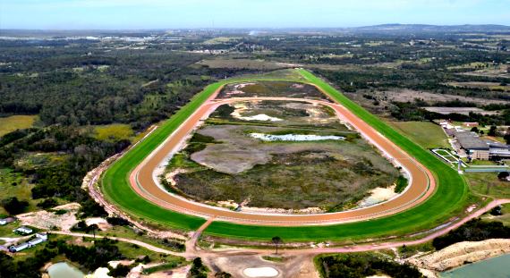 Image of Fairview racecourse and link to our betting preview for 1 August