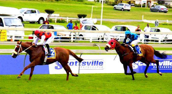 Image of Scottsville Race Course with Link to Hollywoodbets' Best Bets and Tips for Scottsville's racing on the 14th of August