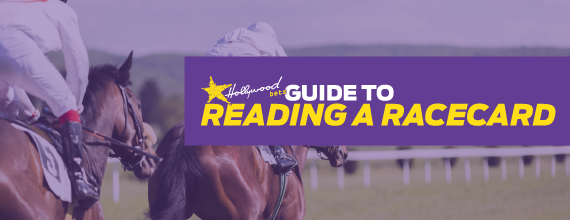 Rading a Racecard with Hollywoodbets