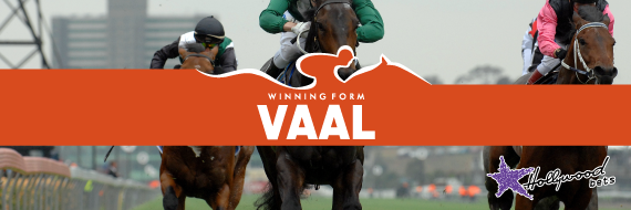 Best Bets For Vaal Tuesday