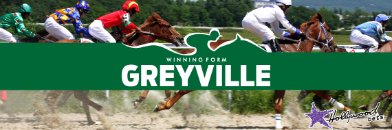 Greyville-Best-Bets-And-Tips