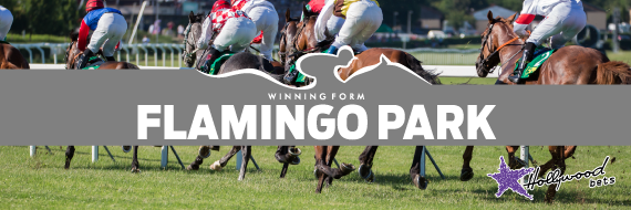 Flamingo-Park-Horse-racing-Tips