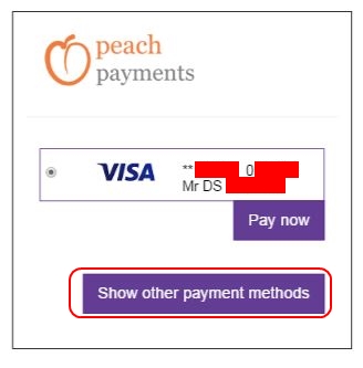 Add new card by clicking Show Other Payment Methods - Peach Payments - Deposit Method - Hollywoodbets