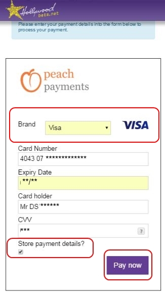 Fill in VISA Card Details and Click Store Payment Details - Peach Payments Method