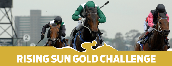 Rising Sun Gold Challenge - Hollywoodbets - Winning Form - Betting - Horse Racing - Greyville - Best Bets