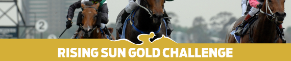 Rising Sun Gold Challenge - Horse Racing - Winning Form - Best Bets