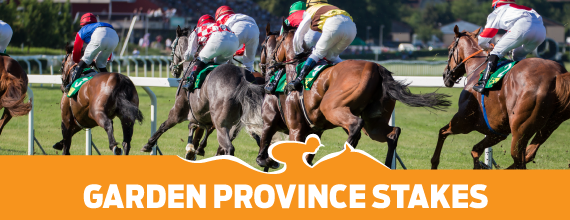 Provincial Garden Stakes Preview