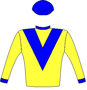 Al Sahem - Jockey Silks - Yellow, royal blue chevron, collar, cuffs and cap - Horse Racing - Durban July