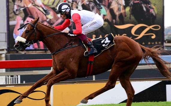 Brazuca - Horse - Vodacom Durban July 2017 - Horse Racing - Gavin Lerena