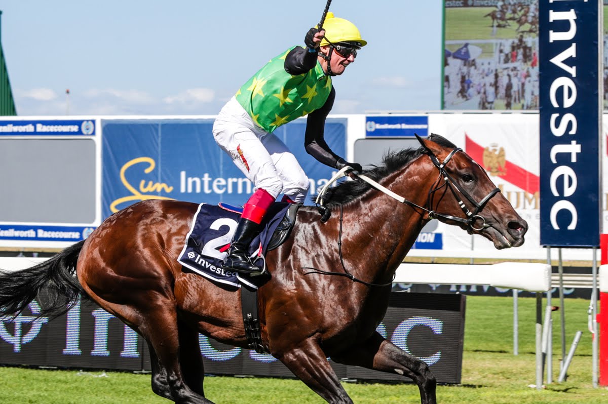 Edict of Nantes - Horse Racing - South Africa - Durban July - Trained by Brett Crawford