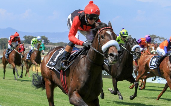 It's My Turn - Horse Racing - Vodacom Durban July - South Africa - Justin Snaith