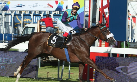KRAMBAMBULI - Horse racing - South Africa - Trained by Justin Snaith