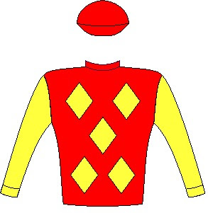 Mr Winsome - Jockey Silks - Red, yellow diamonds, yellow sleeves, red cap - Horse Racing - South Africa - Durban July