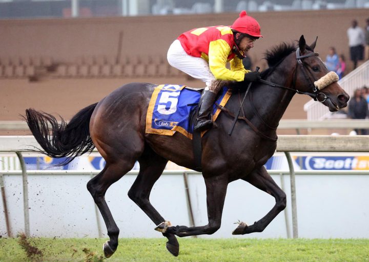 Mr Winsome - Horse Racing - South Africa - Durban July - Dean Kannemeyer trained