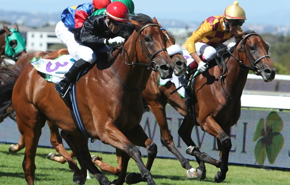 Nightingale - Horse - Durban July - Candice Bass-Robinson trained - Durban July - Horse Racing