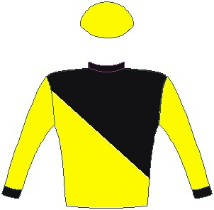 Tilbury Fort - Jockey Silks - Horse Racing - Yellow and black halved diagonally, black cuffs, yellow sleeves and cap