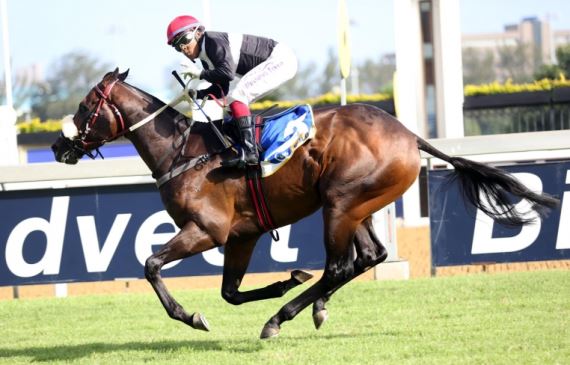 Ten Gun Salute - Horse - Duncan Howells trained - Muzi Yeni - Horse Racing - South Africa - Vodacom Durban July