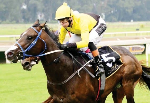 Tilbury Fort - Horse - Vodacom Durban July - Horse Racing
