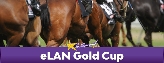 Final Field Betting For The 2017 eLAN Gold Cup - Horse Racing - Greyville - South Africa