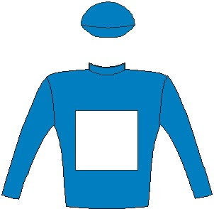 Gold Standard - Jockey Silks - Blue, white square, blue sleeves and cap
