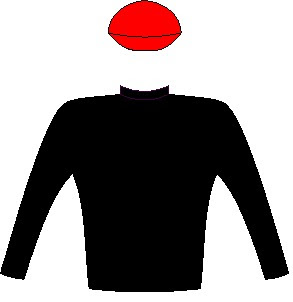 Nightingale - jockey silks - Black, scarlet cap