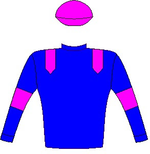Captain America - Jockey Silks - Colours: Royal blue, pink epaulettes, armbands and cap