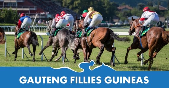 Gauteng Fillies Guineas - Hollywoodbets - Horse Racing