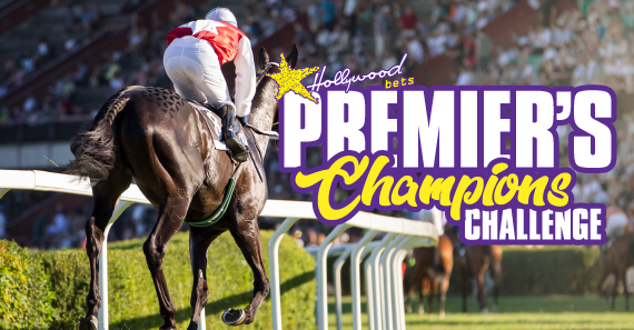Premier's Champions Challenge - Hollywoodbets - Horse Racing - Betting