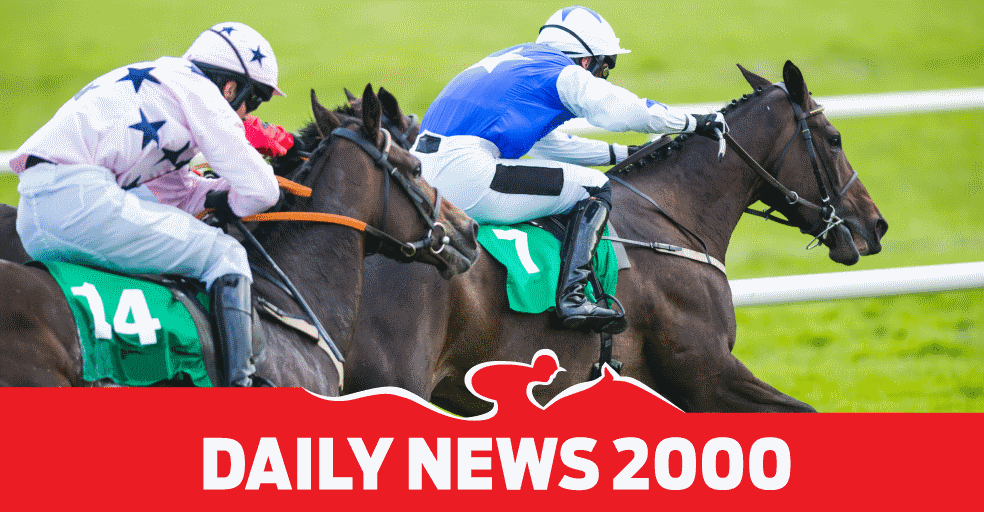 Daily News 2000 - Hollywoodbets - Winning Form - Horse Racing
