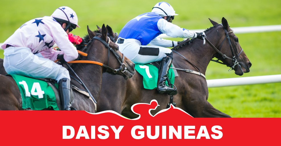 Daisy Guineas and Fillies Guineas - Horse Racing - Winning Form