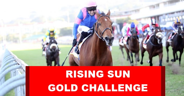 Rising Sun Gold Challenge - Captain America - Horse Racing - Greyville - (Photo Credit: Gold Circle)