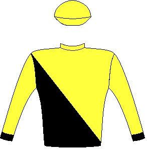 Tilbury Fort - Silks - Owner: Messrs M A Currie, W H Jacobs, S Mathen, E C Van Niekerk, Craig Zoghby, Sean Tarry Racing C.C. (Nom : Mr S G Tarry) & Mrs B M A Lahoud - Colours: Black and yellow halved diagonally, yellow sleeves, black cuffs, yellow cap