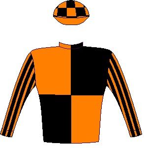 Secret Potion - Silks - Owner: Mr S M Jerrier - Colours: Orange and black quartered, striped sleeves, checked cap, orange peak