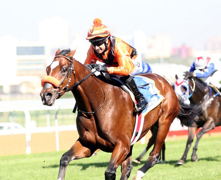 Abashiri - Horse Racing - Vodacom Durban July 2018