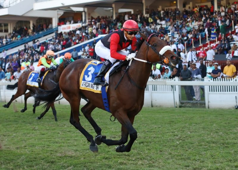African Night Sky - Horse Racing - Vodacom Durban July 2018