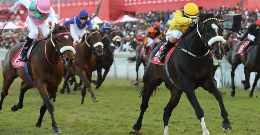 Do It Again winning the 2018 Vodacom Durban July - Horse Racing - Made to Conquer in 2nd place - (Photo Credit: Gold Circle)