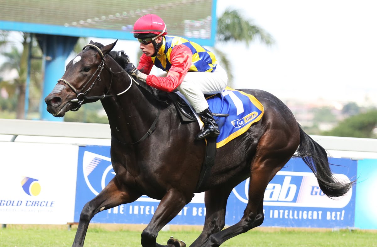 Pack Leader - Vodacom Durban July 2018 contender - horse racing