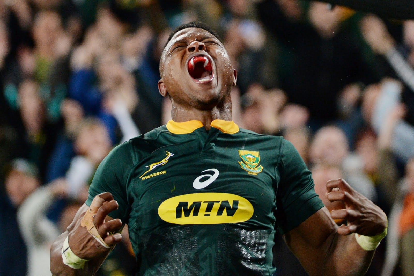 Aphiwe Dyantyi celebrates a try for the Springboks