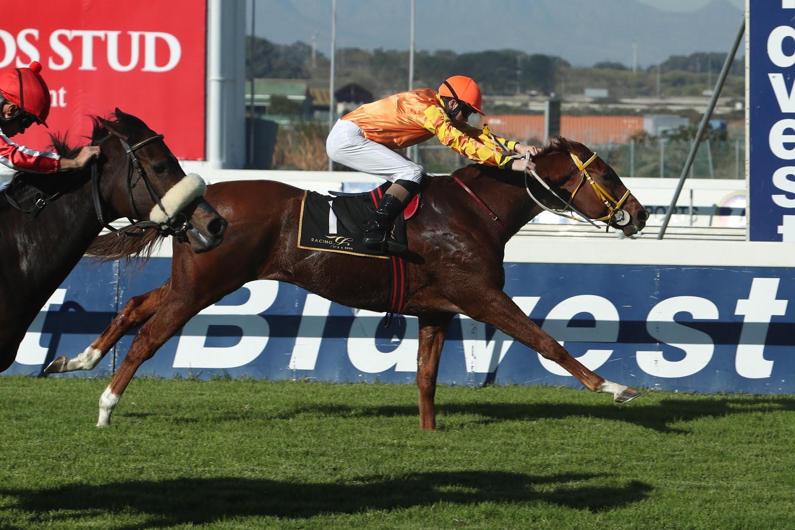 Milton - Winning the Gr 2 Premier Trophy - Horse Racing - South Africa