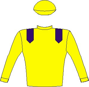 Do It Again - Silks - Yellow, royal blue epaulettes, yellow sleeves and cap