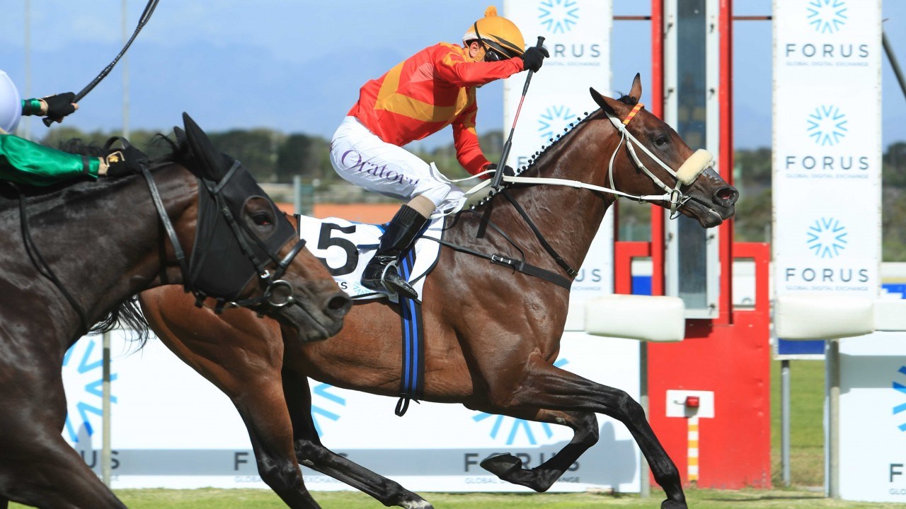 Tap O' Noth - Horse - Horse Racing South Africa - Winning the Race