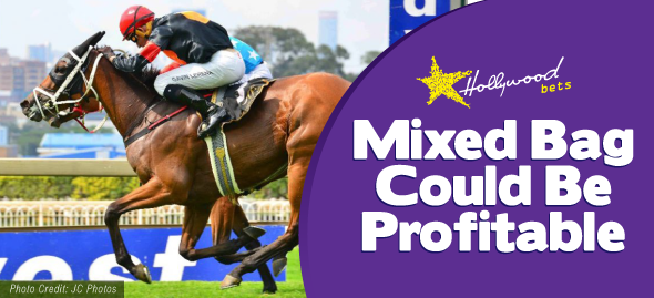 Mixed Bag Could Be Profitable - Hollywoodbets - Horse Racing