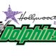 Hollywoodbets Dolphins