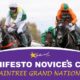 Novices Chase Aintree Grand National Hollywoodbets