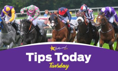 Tuesday Tips Today Horse Racing Hollywoodbets 3
